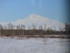 Denali