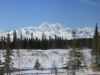 Denali 2