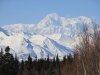 Denali 3