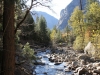 Bridge at the top of Mirror lake loop